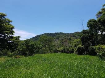 V#201 Maravillosa Finca en Venta/Guanacaste