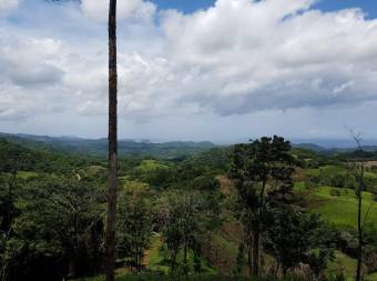 V#201 Maravillosa Finca en Venta/Guanacaste