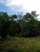 V#201 Maravillosa Finca en Venta/Guanacaste