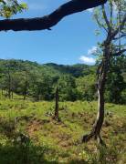 V#201 Maravillosa Finca en Venta/Guanacaste