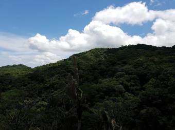 V#201 Maravillosa Finca en Venta/Guanacaste