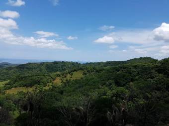 V#201 Maravillosa Finca en Venta/Guanacaste