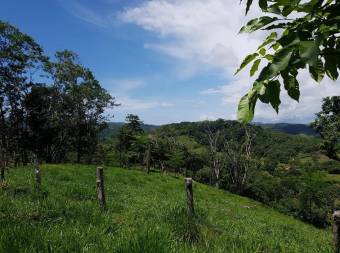 V#201 Maravillosa Finca en Venta/Guanacaste