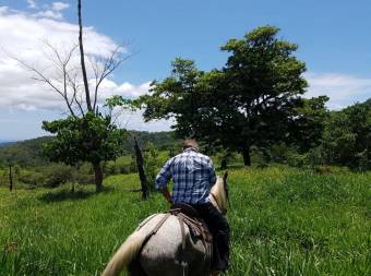 V#201 Maravillosa Finca en Venta/Guanacaste