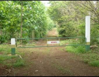 V#205 Amplia Finca en Venta/Guanacaste