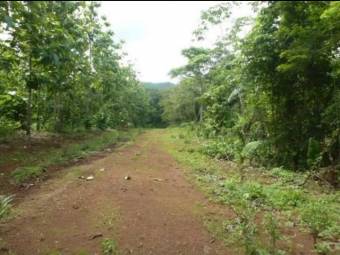 V#205 Amplia Finca en Venta/Guanacaste