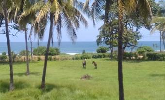 Incredible 5 beachfront titled hectares at Playa Junquillal 