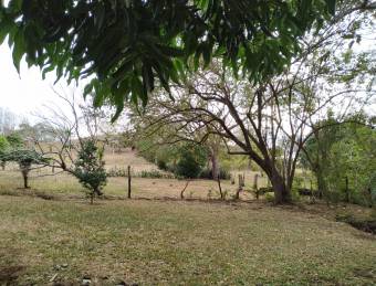 4 apartments  3 empty lots for expansion located in a very quiet area near Tamarindo  / by Owner 