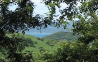 V#209 Esplendorosa Finca en Venta/Guanacaste