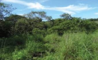 V#209 Esplendorosa Finca en Venta/Guanacaste