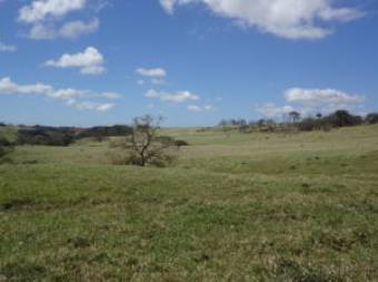 V#210 Maravillosa Finca en Venta/Guanacaste