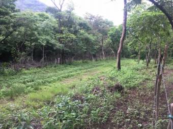 V#212 Maravillosas Fincas en Venta/Guanacaste