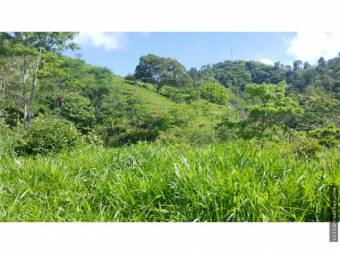 V#450 Amplia Finca de Venta en  Nandayure/ Guanacaste.