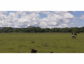 V#409 Amplios Terrenos de Venta en Guanacaste 