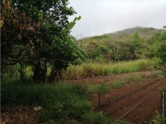 V#412 Amplia Finca de Venta en Guanacaste 