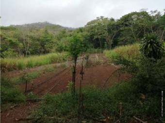 V#412 Amplia Finca de Venta en Guanacaste 