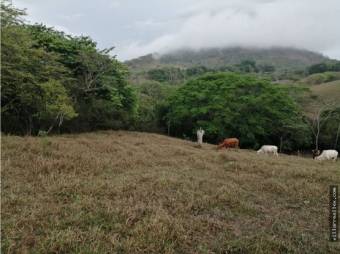 V#412 Amplia Finca de Venta en Guanacaste 