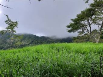 V#449 Espectacular Terreno en Venta en Nandayure/Guanacaste.