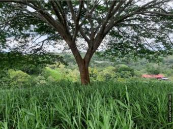 V#449 Espectacular Terreno en Venta en Nandayure/Guanacaste.