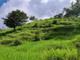 V#449 Espectacular Terreno en Venta en Nandayure/Guanacaste.