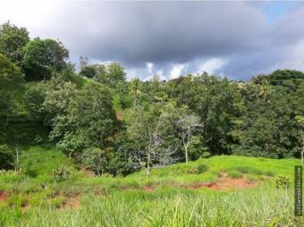 V#449 Espectacular Terreno en Venta en Nandayure/Guanacaste.