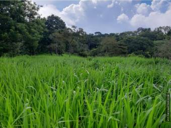 V#449 Espectacular Terreno en Venta en Nandayure/Guanacaste.