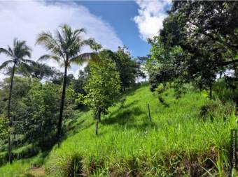 V#449 Espectacular Terreno en Venta en Nandayure/Guanacaste.