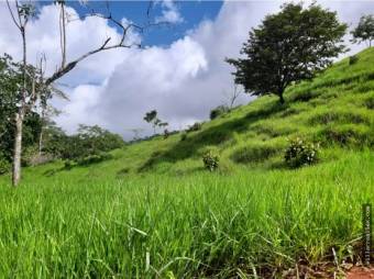 V#449 Espectacular Terreno en Venta en Nandayure/Guanacaste.