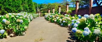 Se vende propiedad de 7.000m2, con lindos jardines, clima fresco