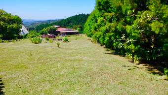 7,000m2 property for sale, with beautiful gardens, cool climate