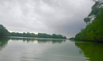 Se Vende Fina del Lago ubicación (Orotina) Alajuela de 12 HA