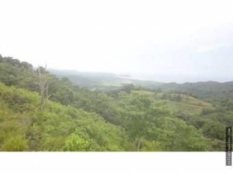 V#376 FINCA EN VENTA EN GUANACASTE / NEGOCIABLE