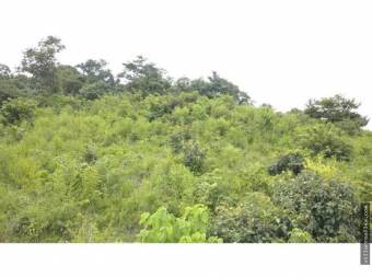 V#376 FINCA EN VENTA EN GUANACASTE / NEGOCIABLE