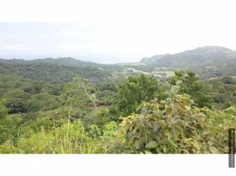 V#376 FINCA EN VENTA EN GUANACASTE / NEGOCIABLE