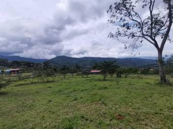 MLS-21-1866 VENTA LOTE TURRIALBA 