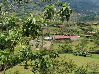 MLS-21-1866 VENTA LOTE TURRIALBA 