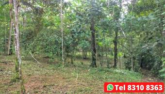 Se Vende Finca en la Abundancia, Quesada