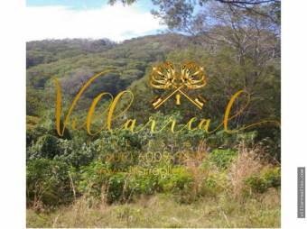 V#306 Majestuosa Finca en Venta/Guanacaste