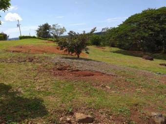 Lote en venta en San Mateo, Alajuela. RAH 21-1438