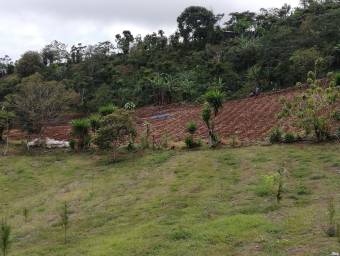 Lote en venta en San Ramón, Alajuela. RAH 22-1676