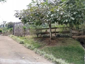 Lote en venta en San Ramón, Alajuela. RAH 22-1676