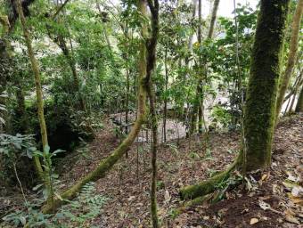 Lote en venta en San Ramón, Alajuela. RAH 22-1676