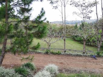 Lote en venta en San Ramón, Alajuela. RAH 22-1676