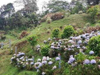 Casa en venta en Turrialba, Cartago. RAH 22-1384