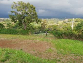 Lote en venta en Naranjo, Alajuela. RAH 22-1270