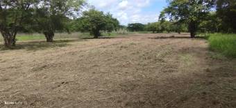 Residencial de quintas (lote 5524 m2)