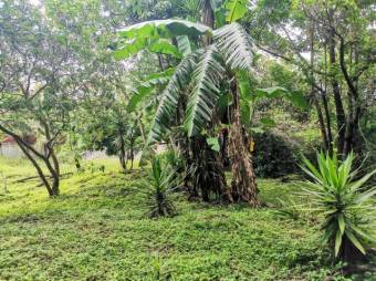 MLS-23-151 VENTA LOTE SAN RAFAEL ESCAZU SAN JOSE MLS-23-151 VENTA LOTE SAN RAFAEL ESCAZU SAN JOSE