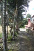 Land for sale in Zapote