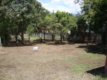 Land for sale in Zapote Land for sale in Zapote