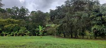 Se vende hermosa finca Se vende hermosa finca